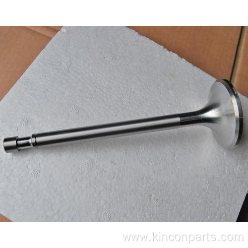 Engine Valves 6135-1a